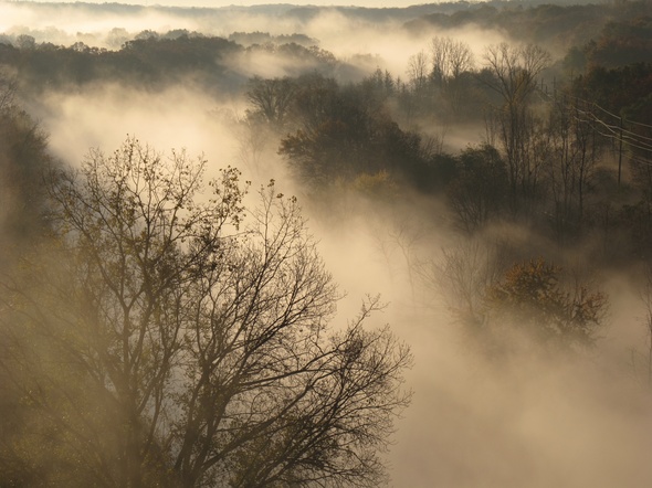 Morning-Mist.jpg