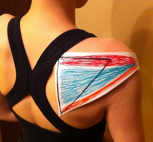 Glidden-Rotator-Cuff.jpg