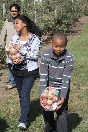 Wiards-Apple-Photo.jpg