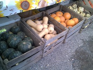 Borden - squash at tantre