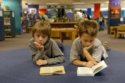 ann-arbor-library-reading.JPG