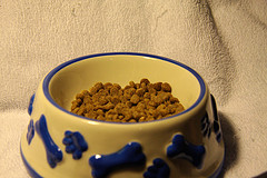dogfoodmshades.jpg