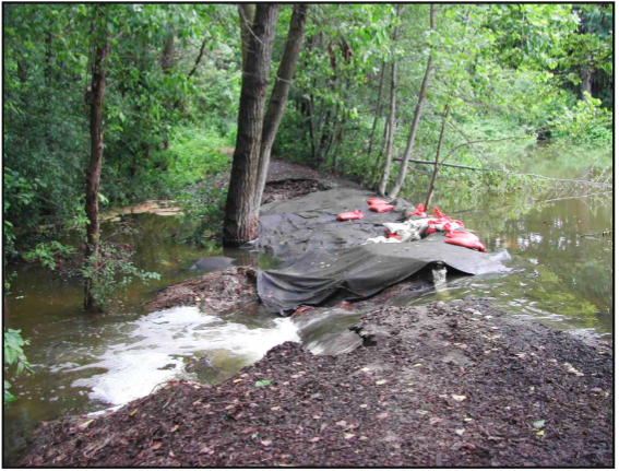 thurston-pond-berm-flooding-june-2010.png