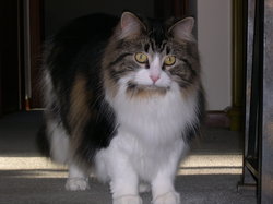 110710_ALISON.JPG