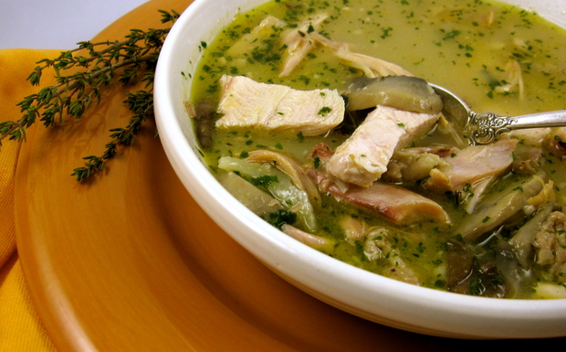 lampman-savory-turkey-soup.JPG