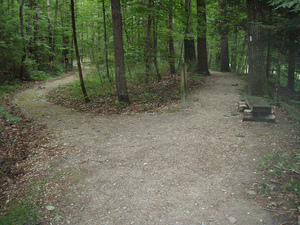 fork2-flickr-Rebecca-Sudduth.jpg