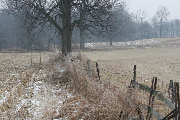 Mast_Farm_2_Webster_Township.JPG
