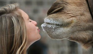 girl-kissing-camel.jpg