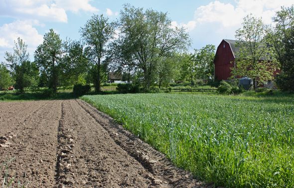 BayerJan2011.CommunityFarm.jpg