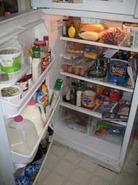 fridge 001.jpg