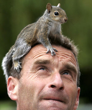 squirrelonguyshead.jpg