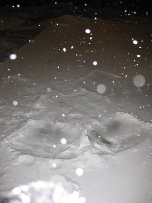 Megan-Towler-Snow-Angel-Blizzard-2011.jpg