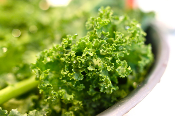 KaleLeaf.JPG