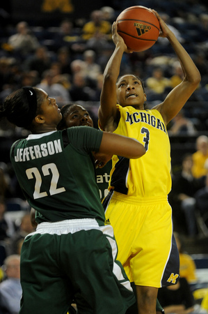 ronihicks—michiganhoops.jpg