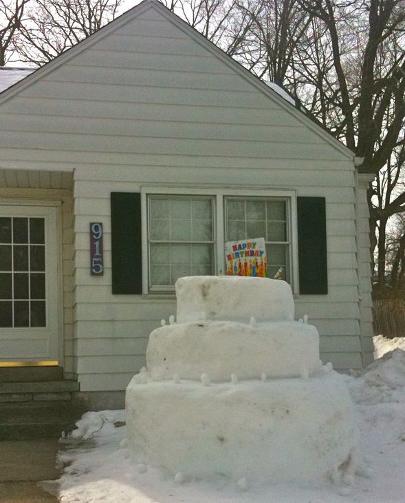 BayerMarchSnowCake-thumb-590x730-71967.jpg