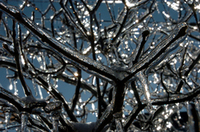 Thumbnail image for Thumbnail image for ICE_STORM.JPG