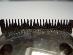 clippers-haircut-flickr-bombhead.jpg