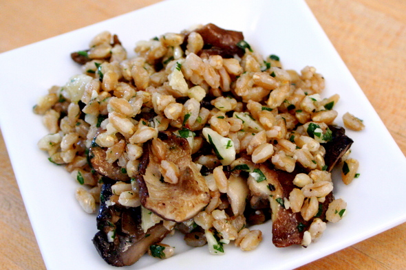 farro-mushrooms-webster.jpg