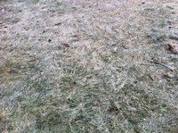 Lundberg-Ann-Arbor-Hay-March-2011