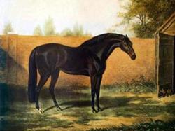 Lundberg-Godolphin-Arabian