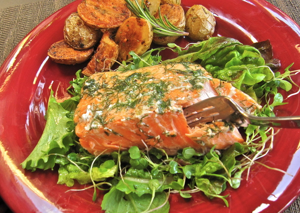 lampman-salmon.JPG