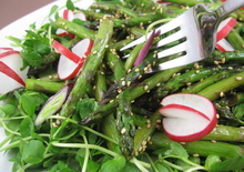 lampman-asparagus-radish-salad.JPG