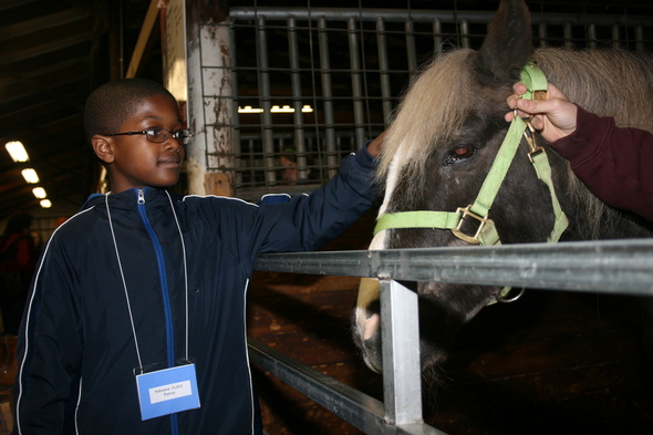 Solomon_Patray_pets_pony.JPG