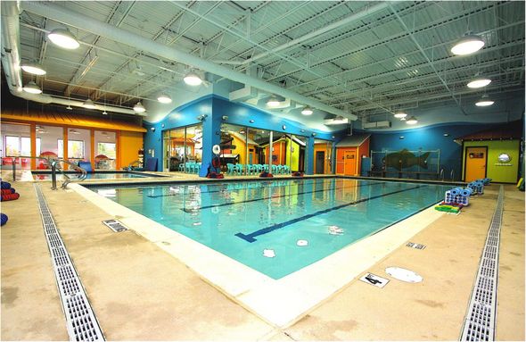 goldfish_swim_school.jpg