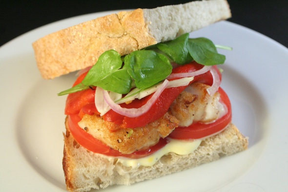 halibut-sandwich-webster.jpg