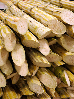 sugarcane-flickr-zlady.jpg
