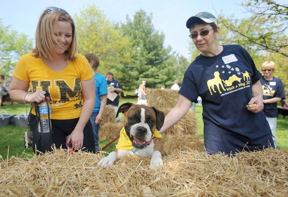 052111-AJC-wag-and-walk-Huron-Valley-Humane-Society-fundraiser-02.JPG