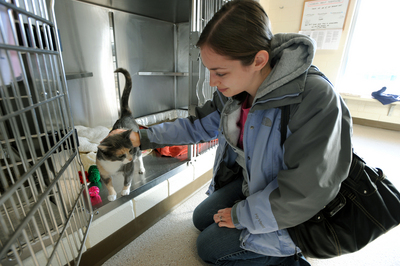 Humane_Society_of_Huron_Valley_HumanSociety.JPG