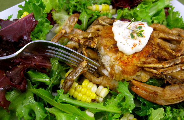 lampman-soft-shell-crabs.jpg