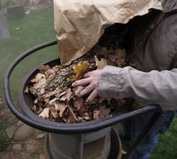 LeafShredder.jpg