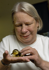 carol_akerlof_bird_center_washtenaw.jpg