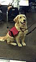 murphy3.jpg