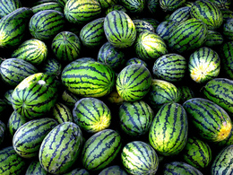 watermelons.jpg