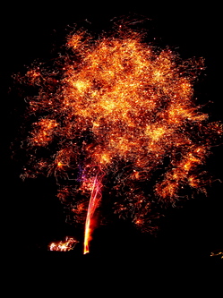 lampman-apple tree.jpg