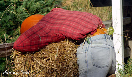 scarecrow-folded-overcropped550sig.jpg