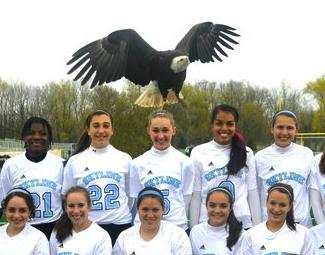 skyline-team-eagle.png