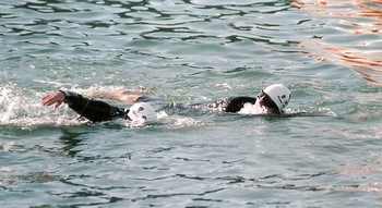 swim.jpg