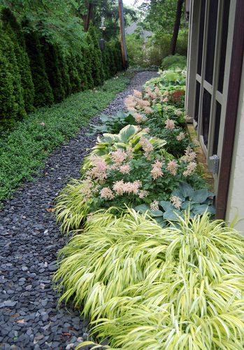 070711_garden3.JPG