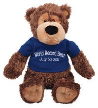 teddy bear you can record message