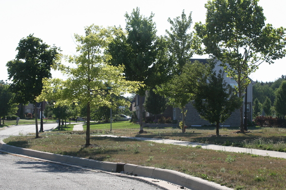 Chelsea_Fairways_road.JPG