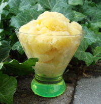 tropicalgranita.JPG