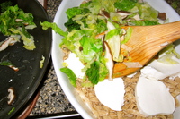 IMG_4037.JPG