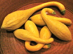 IMG_4432.JPG