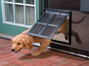 doggie door.jpg