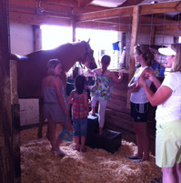 Thumbnail image for Lundberg-Horse-4H-Ann-Arbor-July-2011