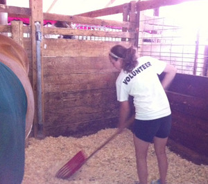 Thumbnail image for Lundberg-Horse-4H-Ann-Arbor-July-2011